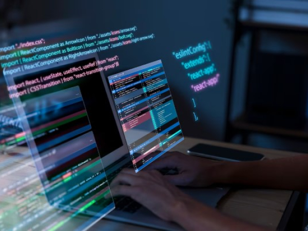 Custom Application Development